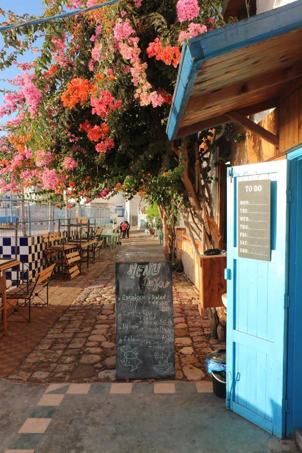 Single Fin Beach House Taghazout Exterior foto